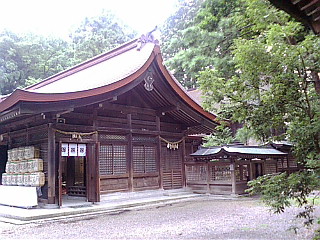 白携帯画像0609 012.jpg