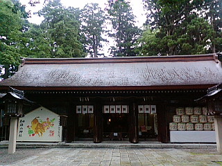 白携帯画像0609 013.jpg