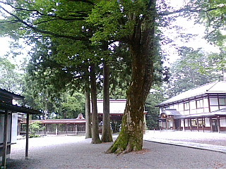 白携帯画像0609 016.jpg
