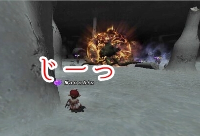 遠くからじーっ.jpg